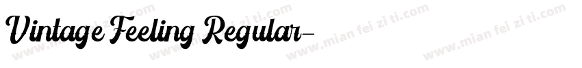 Vintage Feeling Regular字体转换